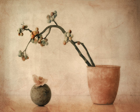 Still Life with Berries