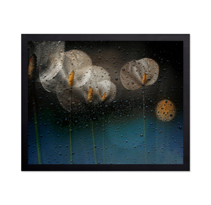 Water Drops and Lilies