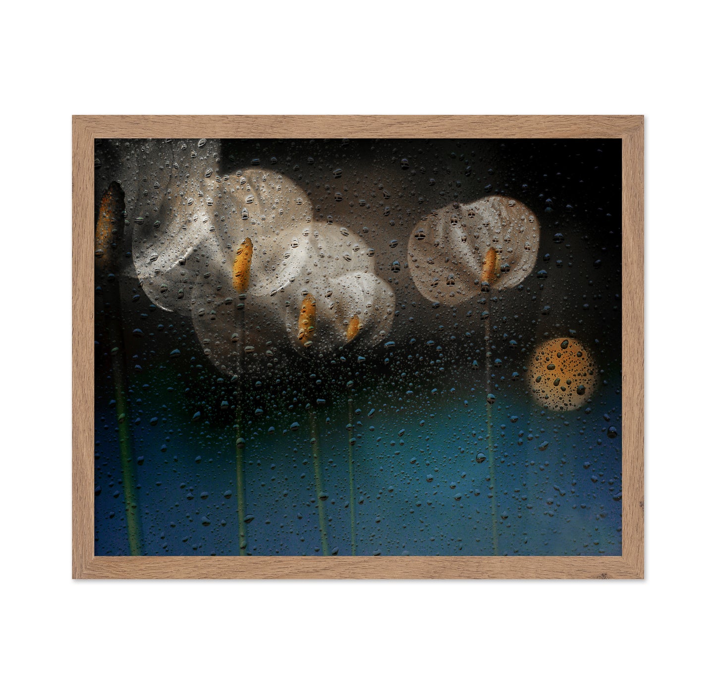 Water Drops and Lilies
