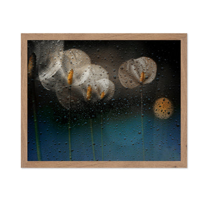 Water Drops and Lilies