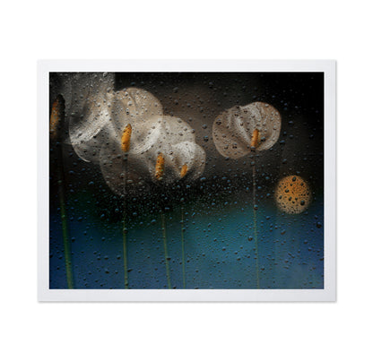 Water Drops and Lilies
