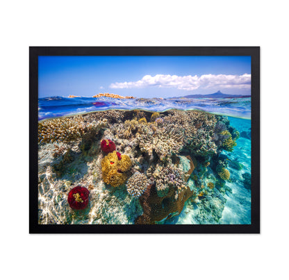 Mayotte : The Reef