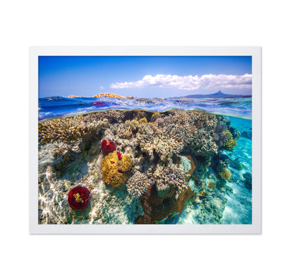 Mayotte : The Reef