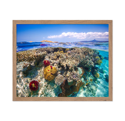 Mayotte : The Reef