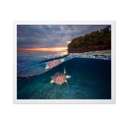 Green Turtle With Sunset