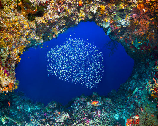Underwater Cave