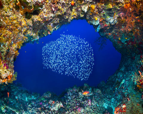 Underwater Cave