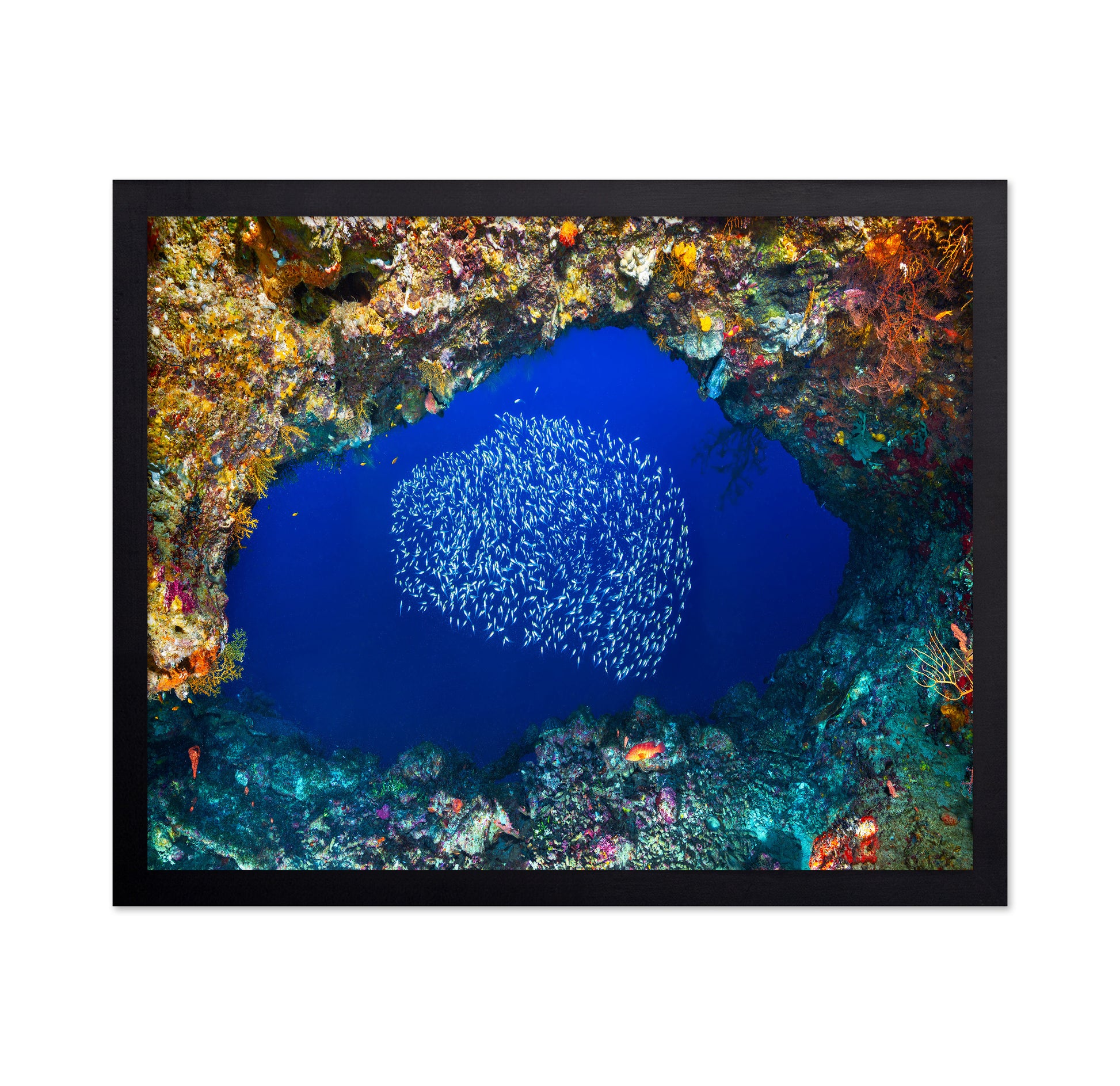Underwater Cave