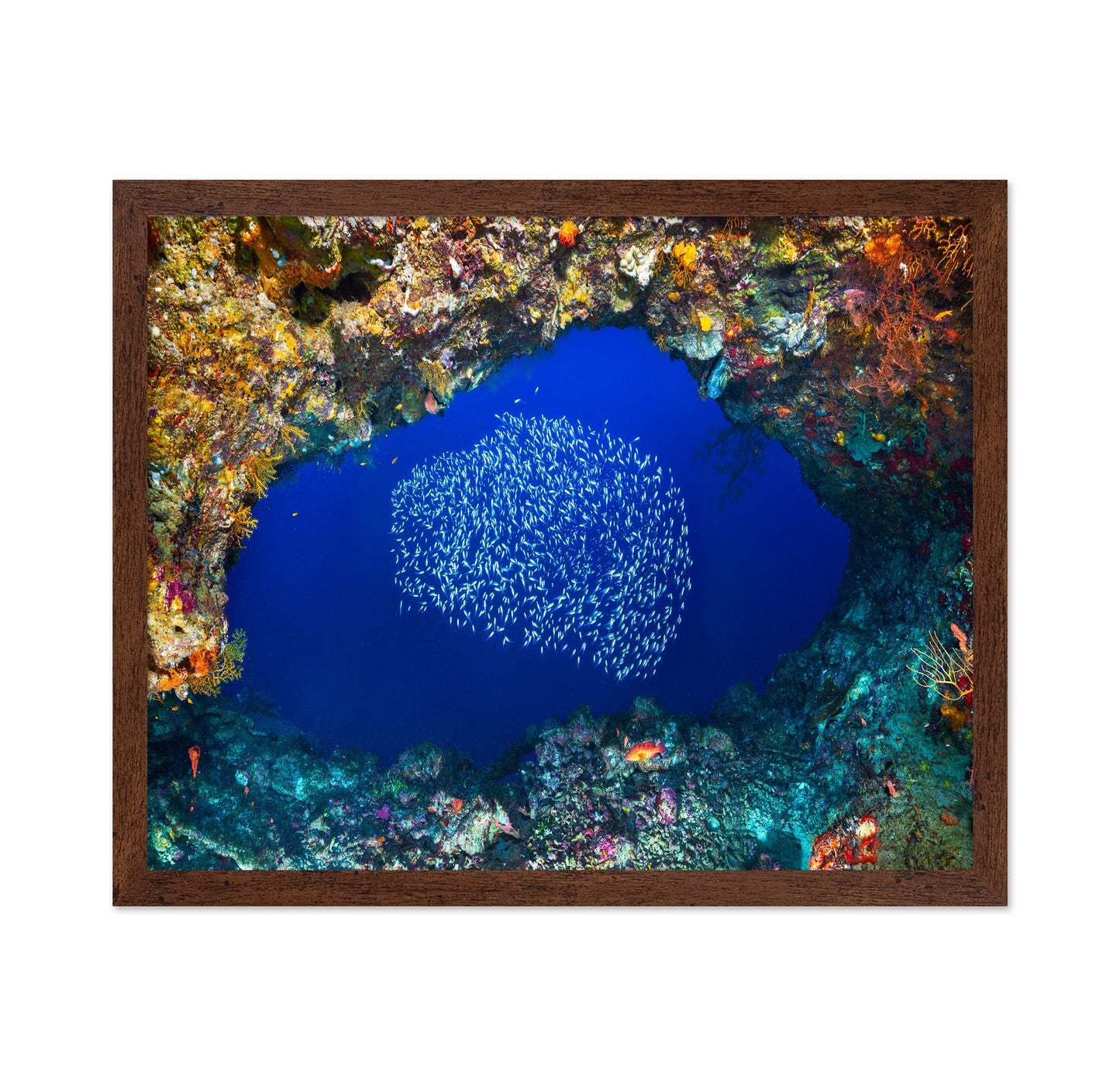 Underwater Cave