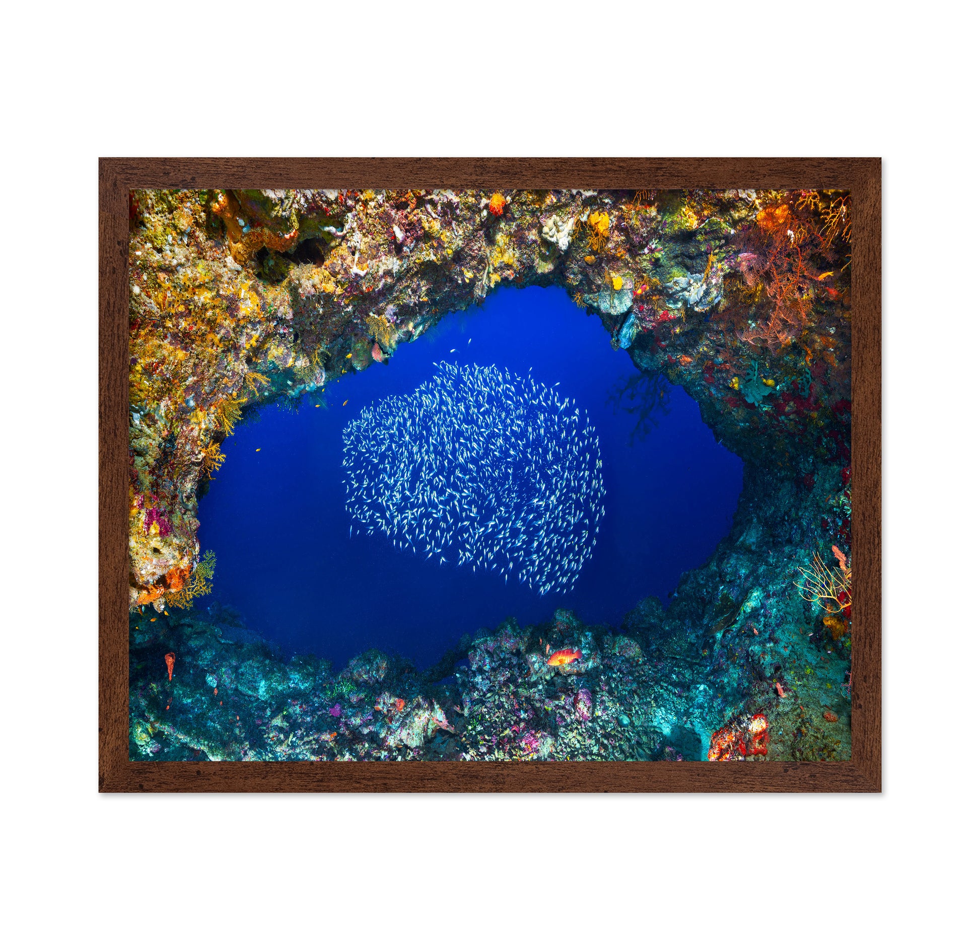 Underwater Cave