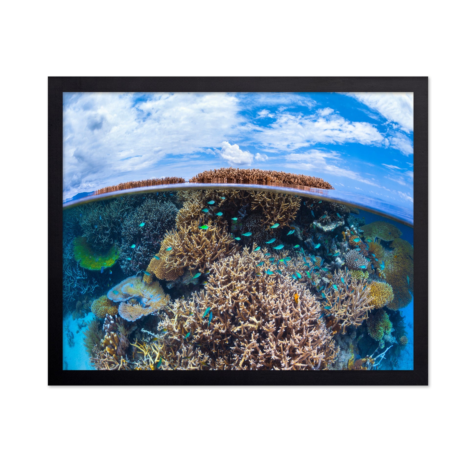 Split Level From Mayotte Reef