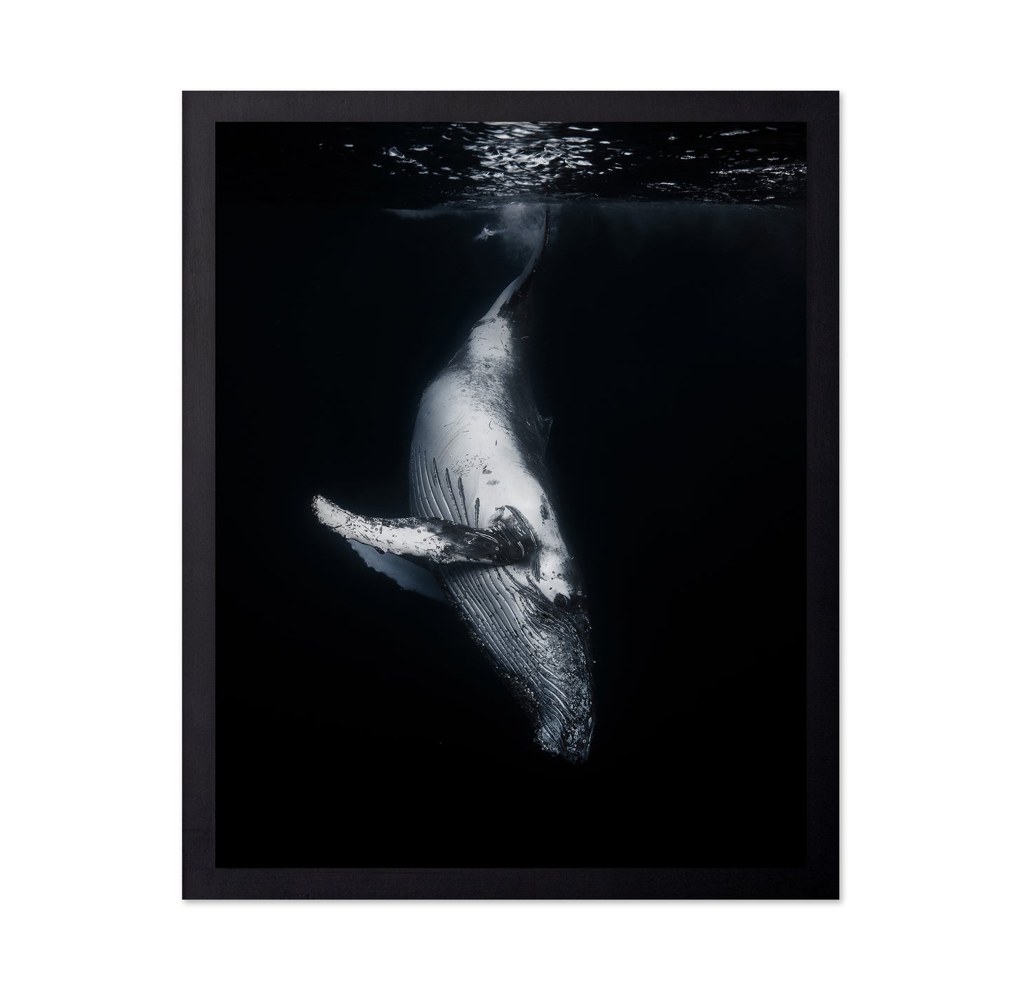 Black Whale