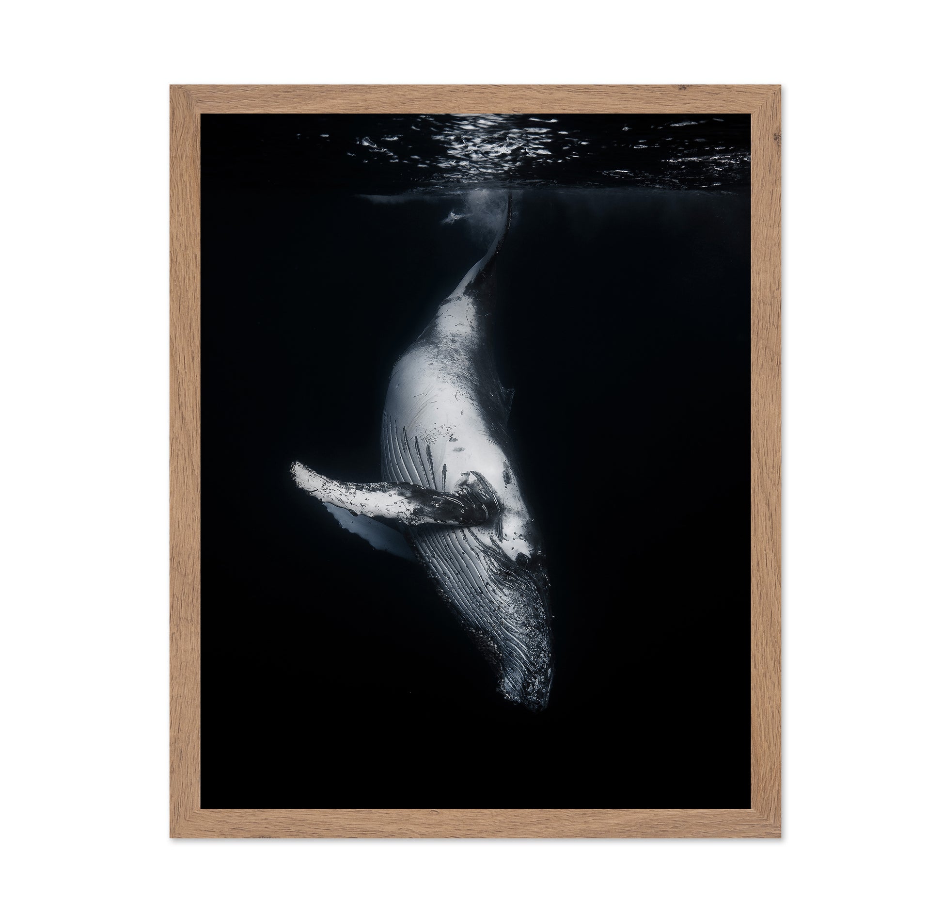 Black Whale