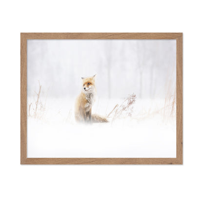 Fox In The Fog