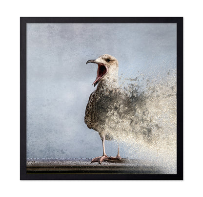Waterbird