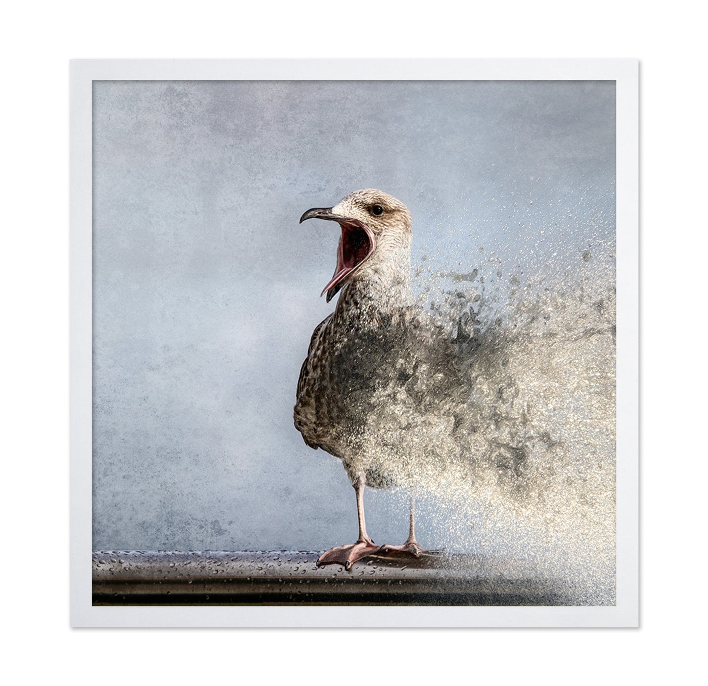 Waterbird