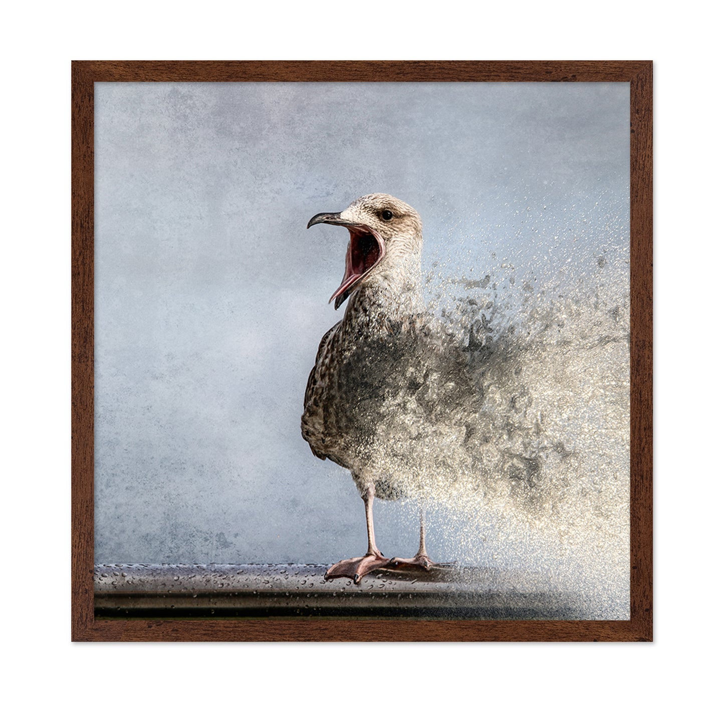 Waterbird