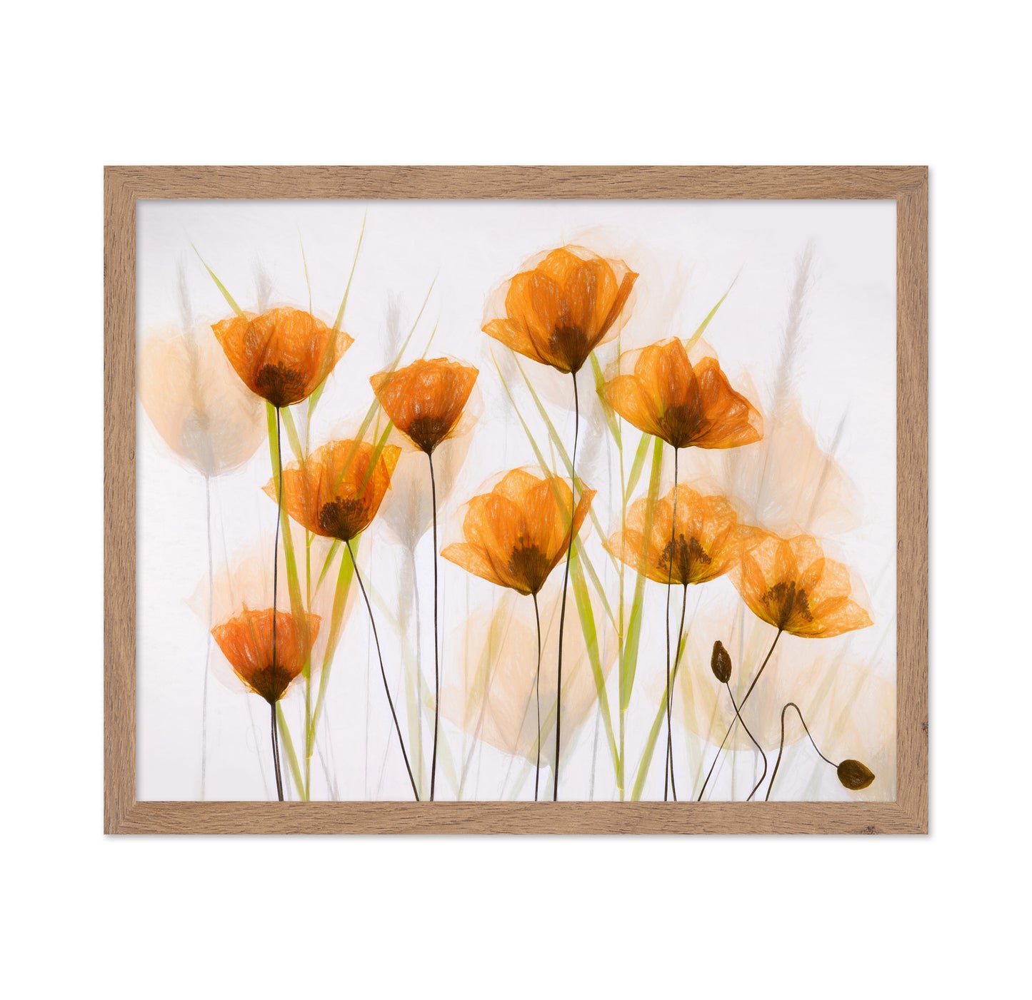 Poppy Art