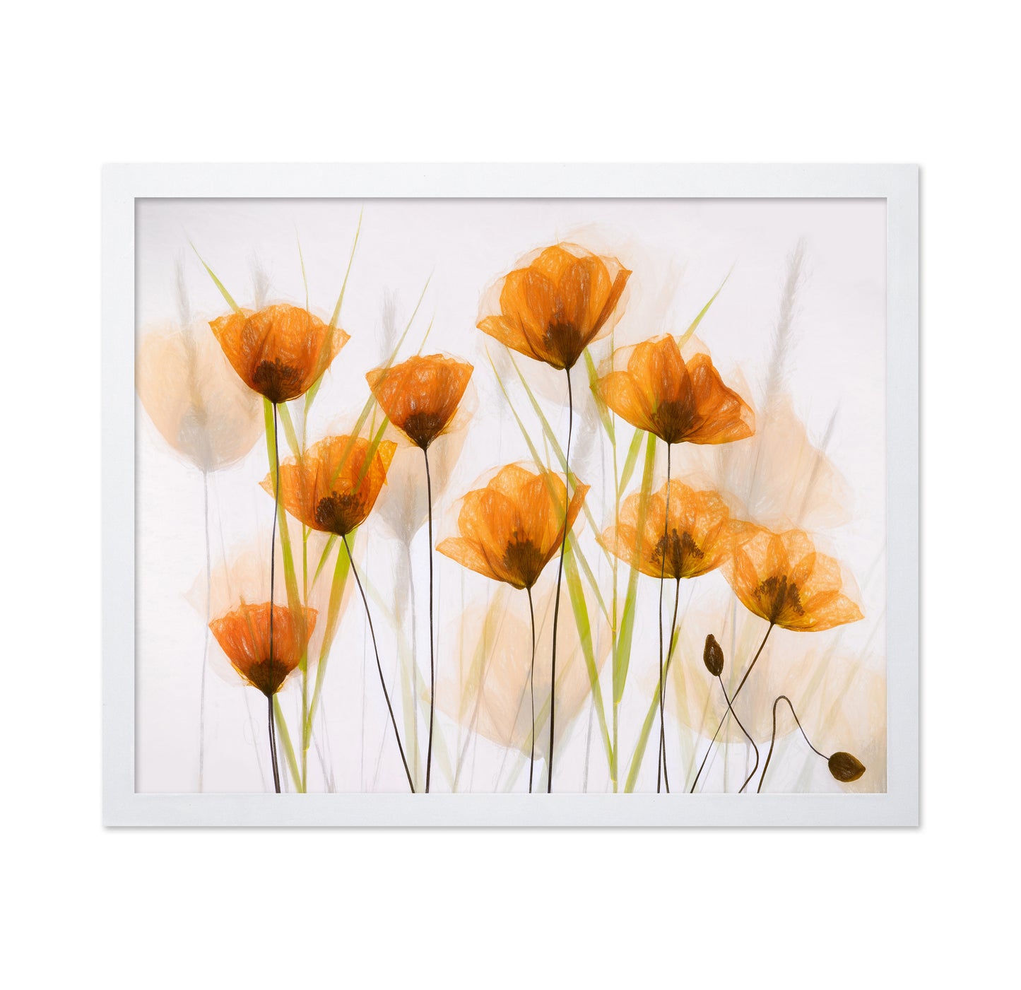 Poppy Art