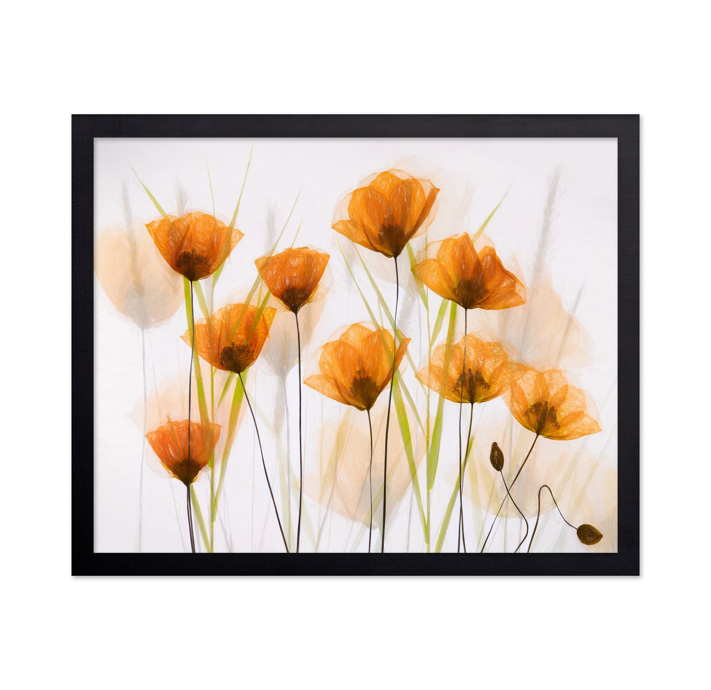 Poppy Art