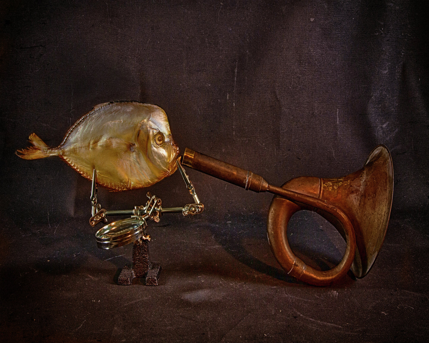 Fish And Horn