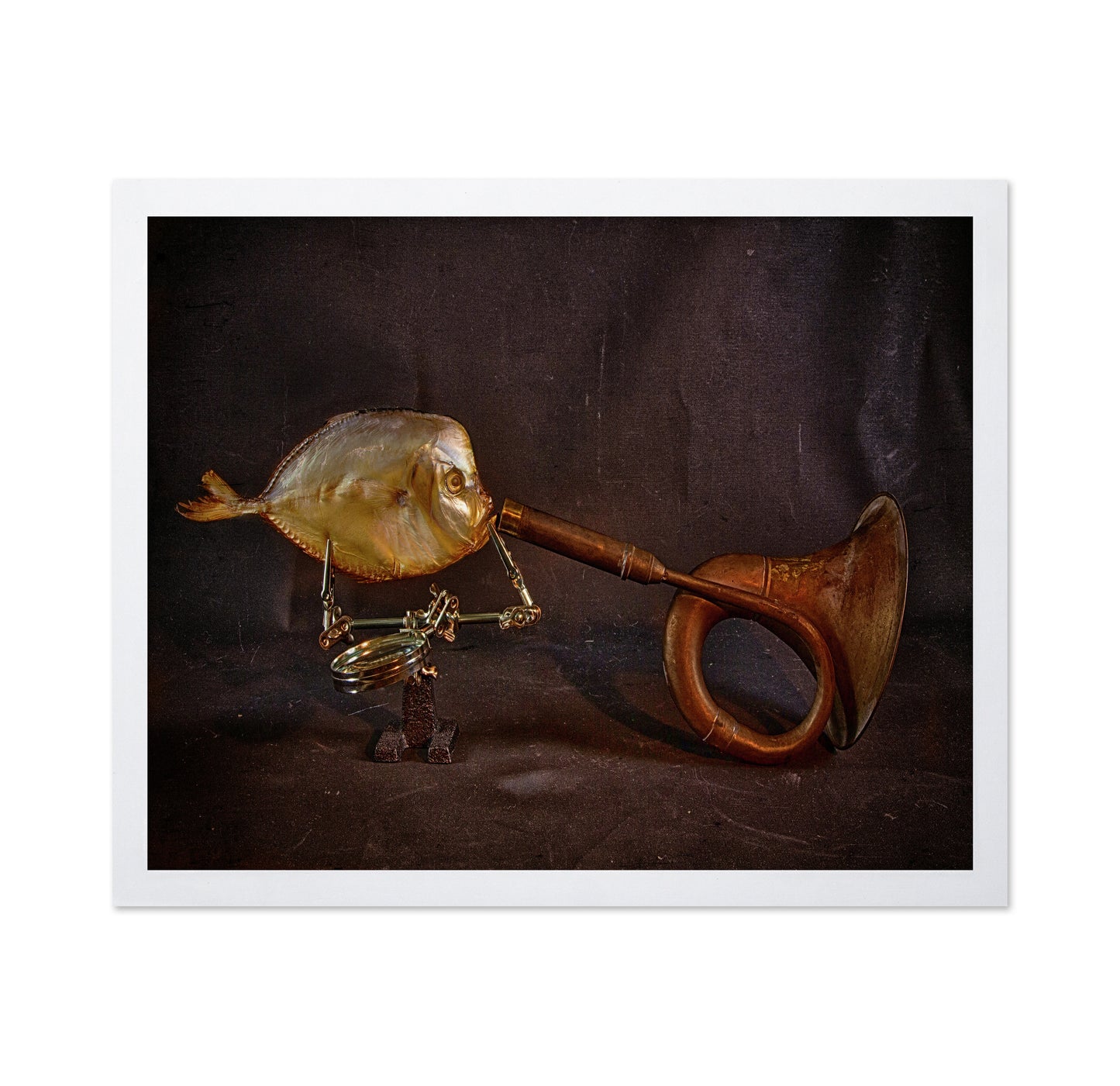 Fish And Horn