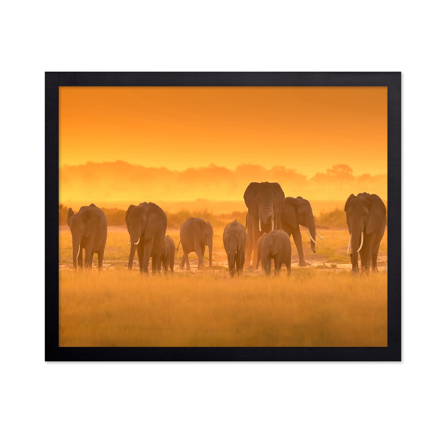Golden Light