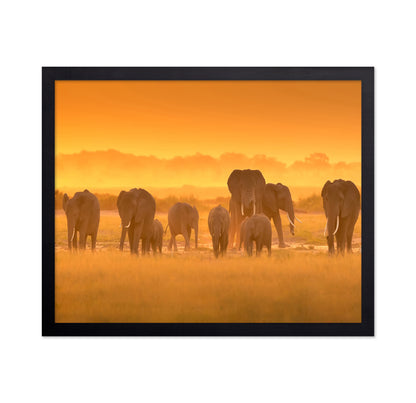 Golden Light
