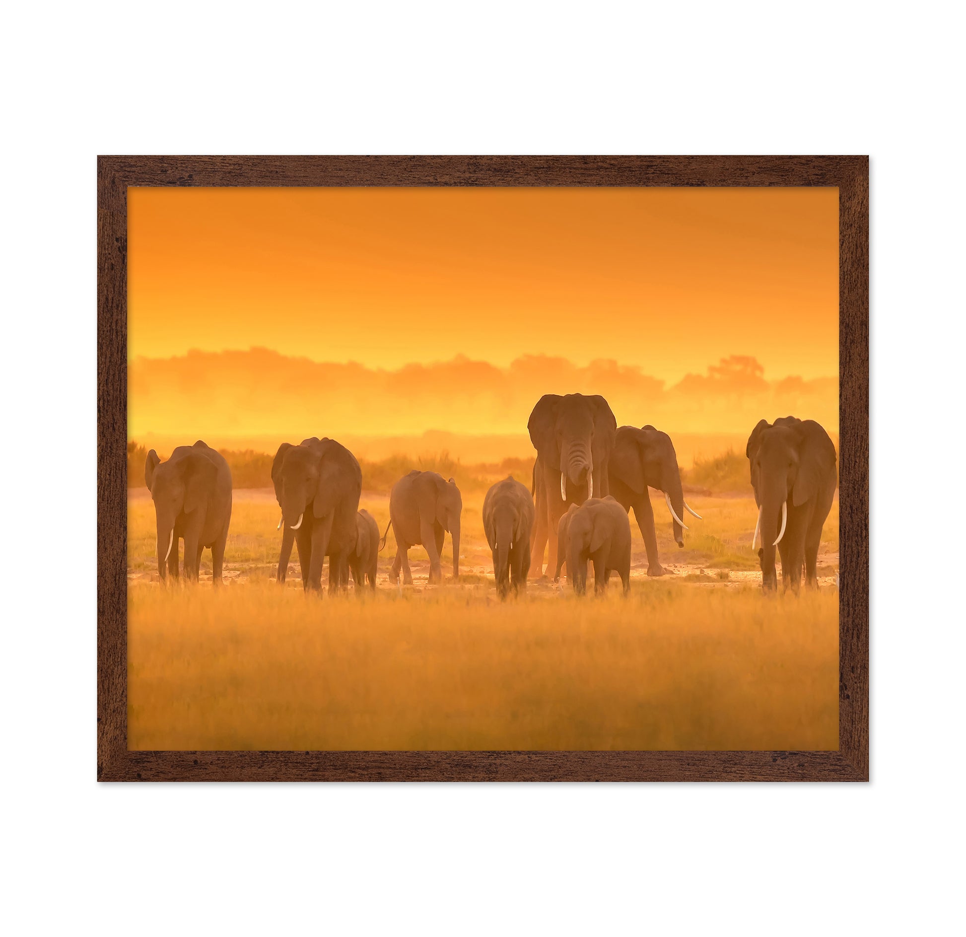 Golden Light