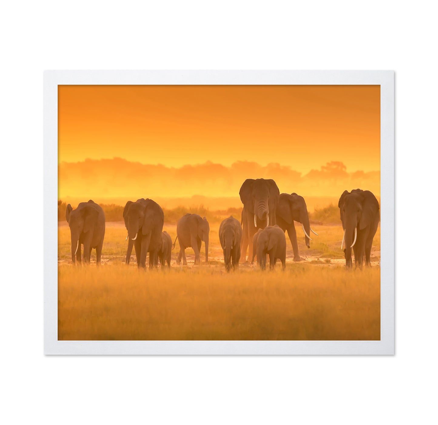 Golden Light