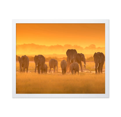 Golden Light