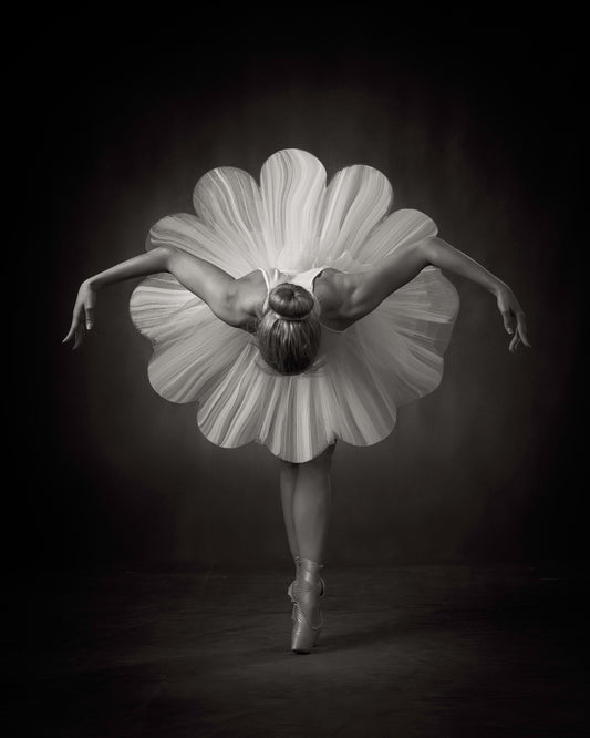 Floral Ballet