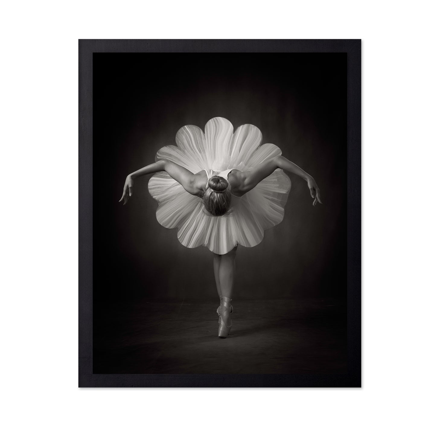 Floral Ballet