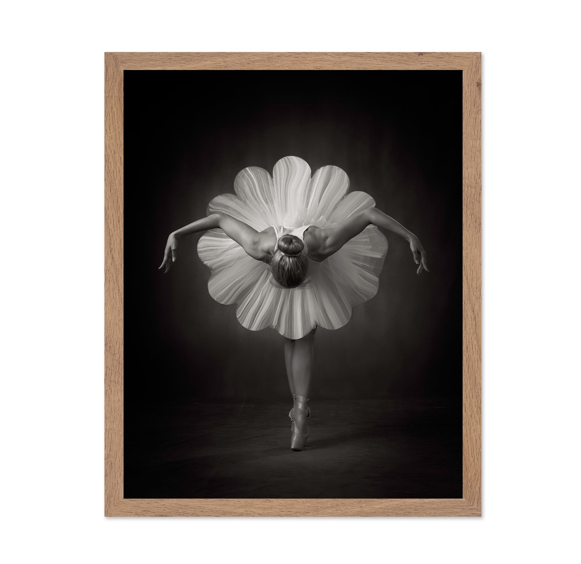 Floral Ballet