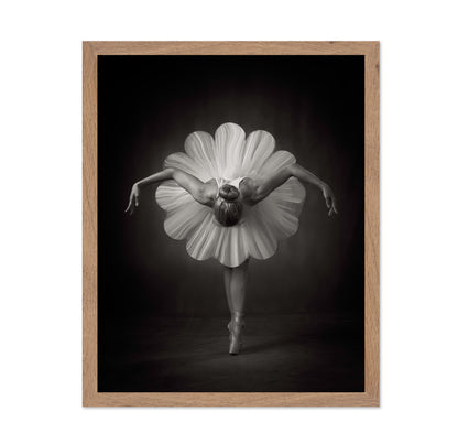 Floral Ballet