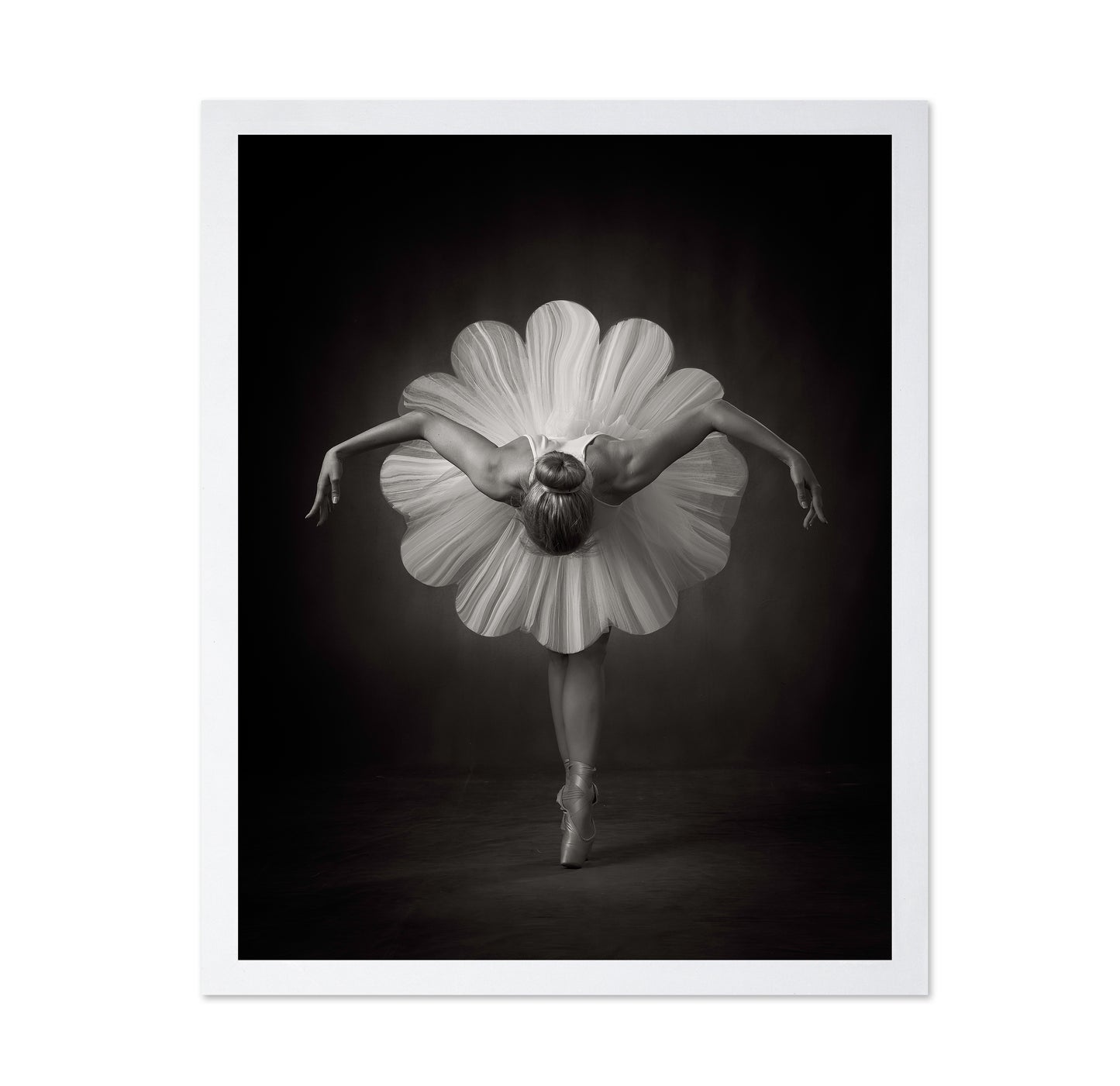Floral Ballet