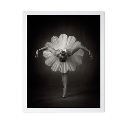 Floral Ballet