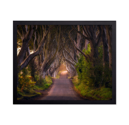 The Glowing Hedges