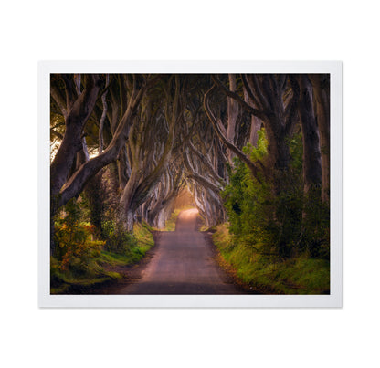 The Glowing Hedges