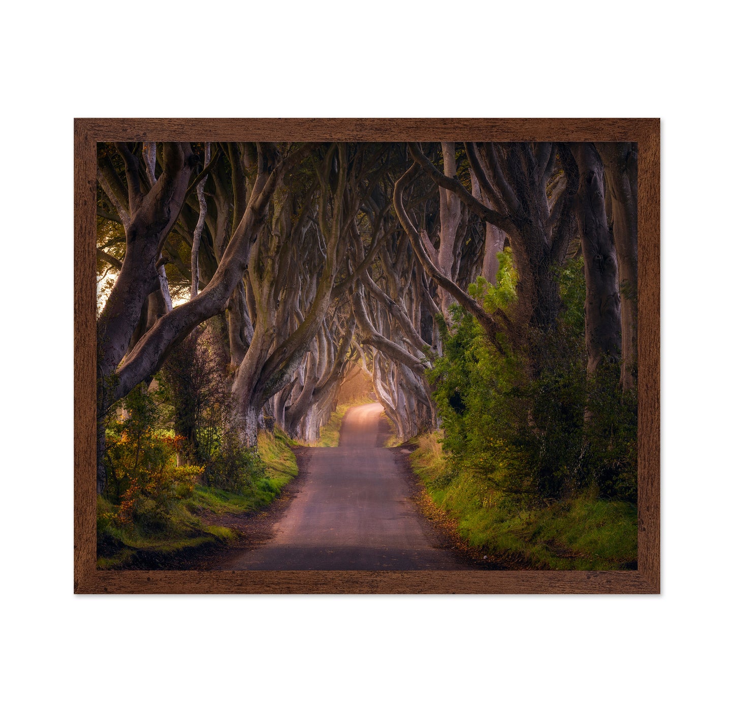 The Glowing Hedges