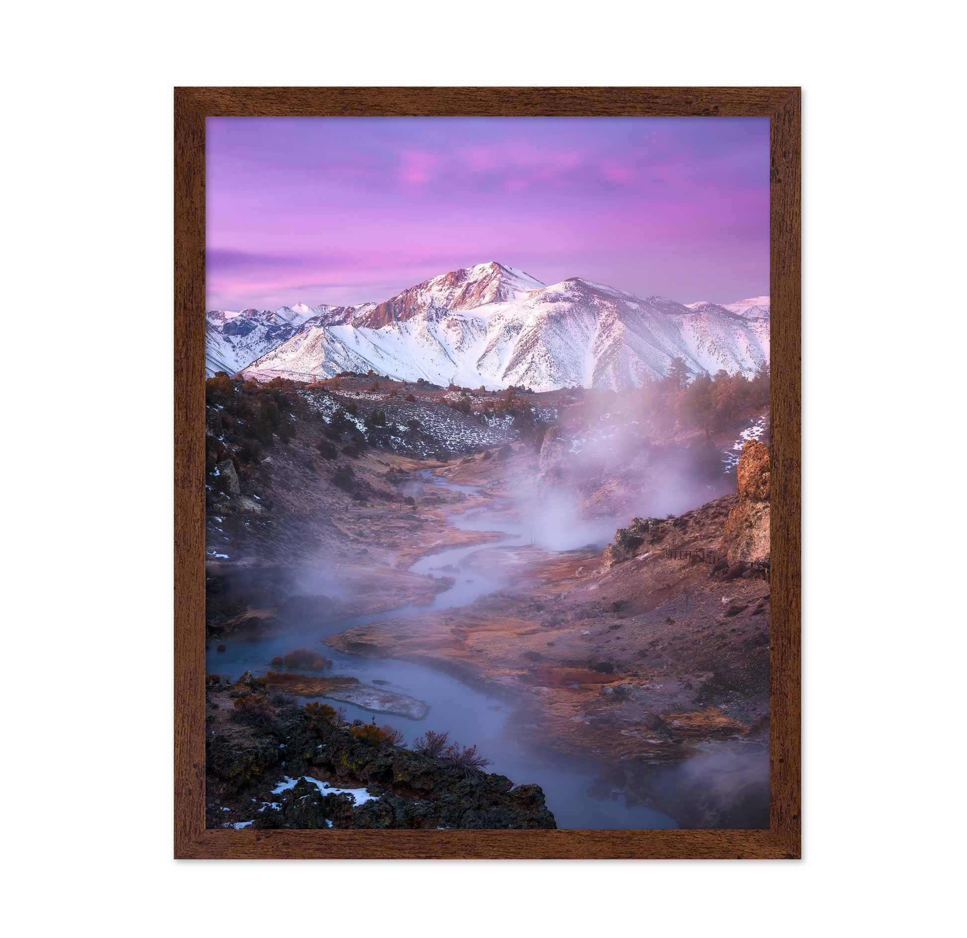 Pink Eastern Sierra