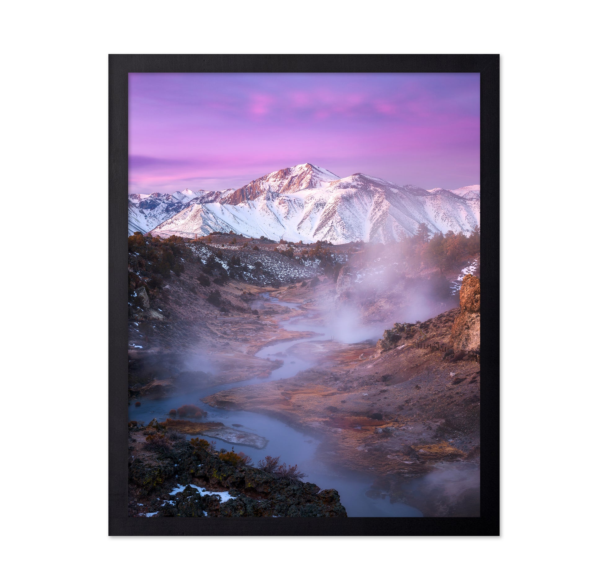 Pink Eastern Sierra