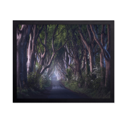The Dark Hedges