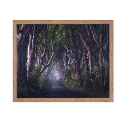 The Dark Hedges