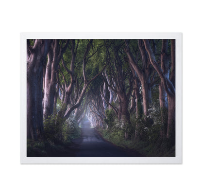 The Dark Hedges