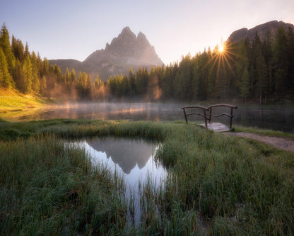 The Bridge to Silence