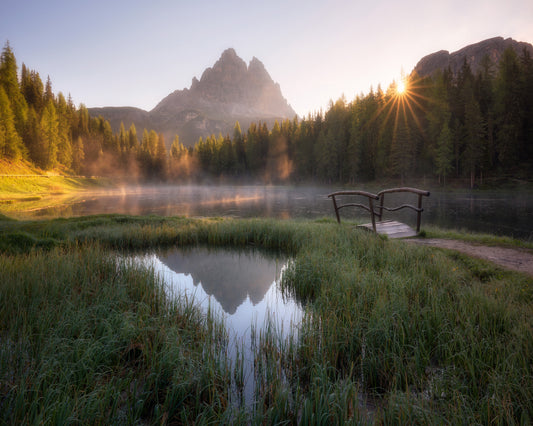 The Bridge to Silence