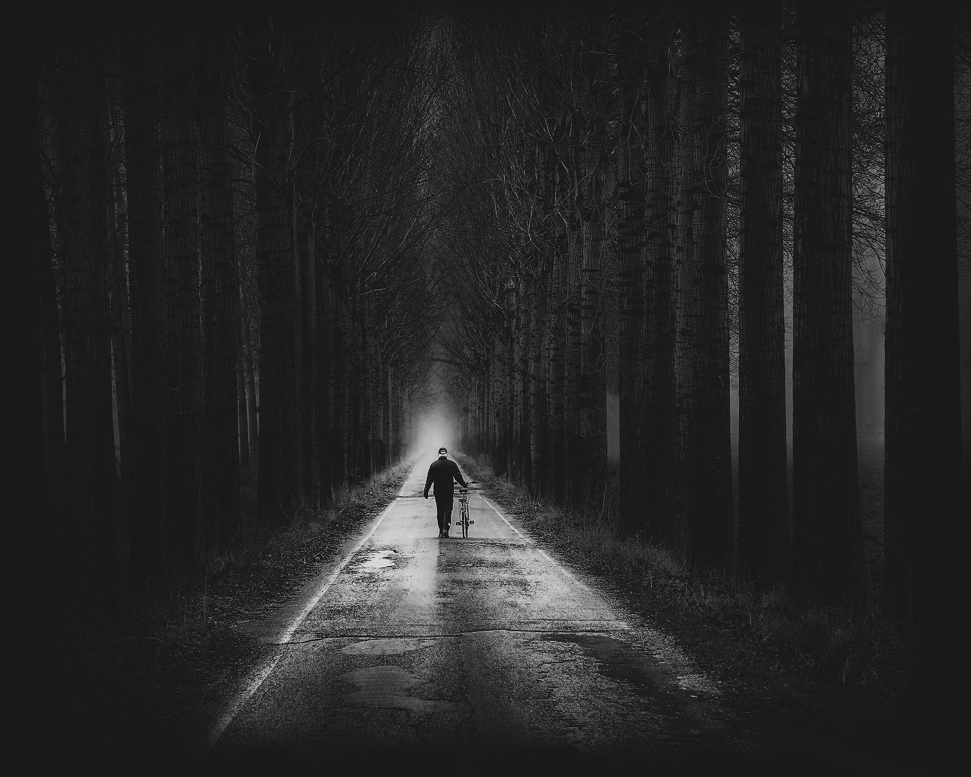 The Way