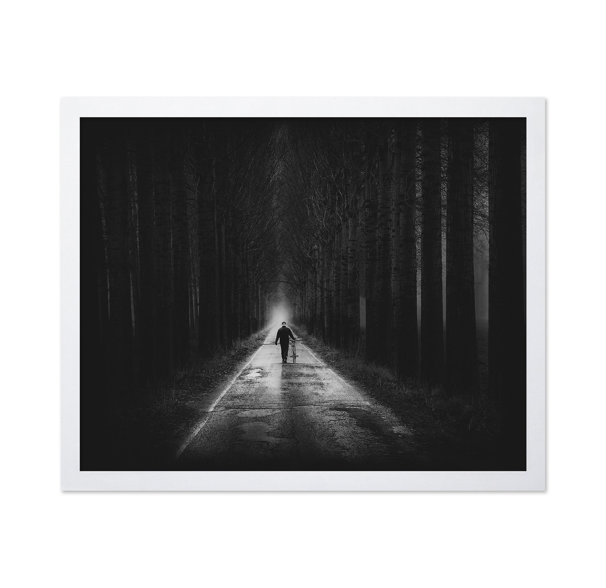 The Way