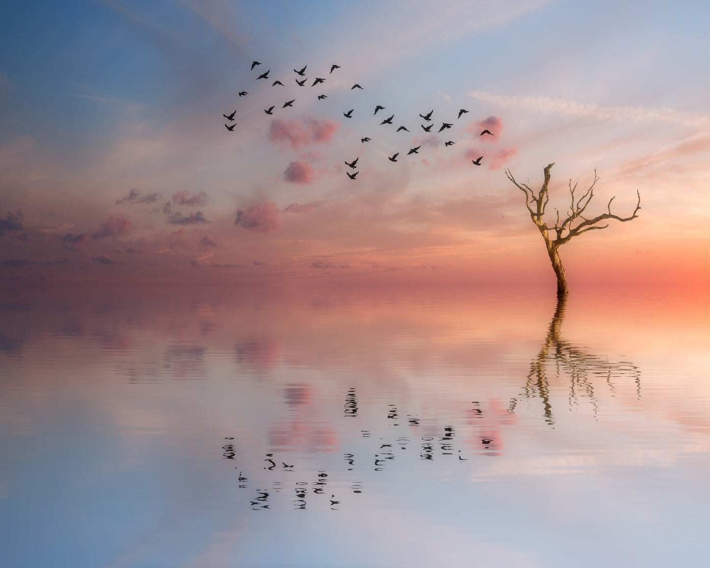 Nature's Peace